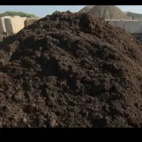 کود حیوانی گاوی