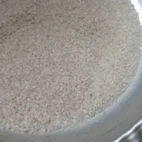 نیم دانه دورود