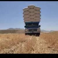 فروش وخریدکاه گندم