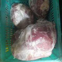 قلوه گاه گوشفندی