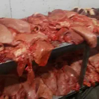 جگر سفید گوساله
