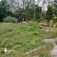 زمین ساخت /طلای سعادت آباد