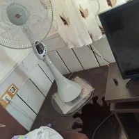 لوازم خانگی