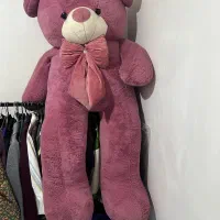خرس 2 متری