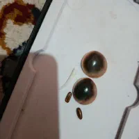 با تست