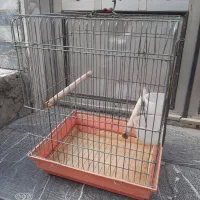قفس عروس هلندی بزرگ