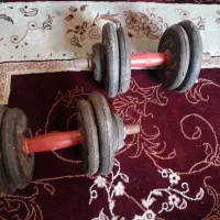 دو عدد دمبل