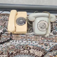 تلفن قورباغه ای