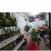 سه دهنه مغازه تجاری براصلی