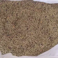 عدس ریز تازه