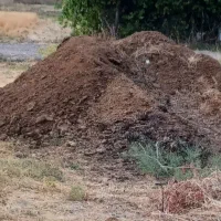 کود اسبی