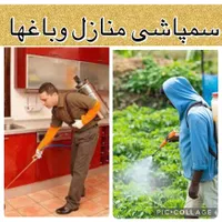 سمپاشی منازل وباغها+بهترین سم فرانسوی