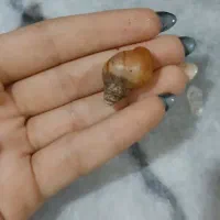 پکیج ویژه