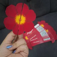 ساخت و طراحی