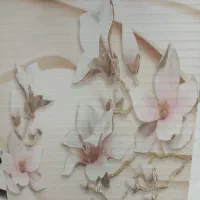 کارتن کولر گازی