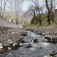 ثبت نام لحظه آخری تور دهبار خراسان