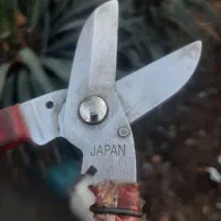 قیچی ساخت ژاپن