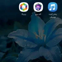 بره و بزغاله فروشی برای محرم تاکستان