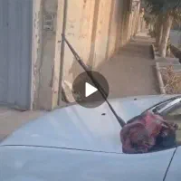 ملک کلنگی