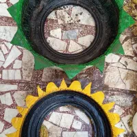 نهال نخل|گل و گیاه طبیعی|زاهدان, |دیوار