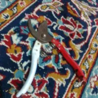 قیچی ارس عرس