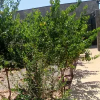 فروش زمین های ویلایی‌
