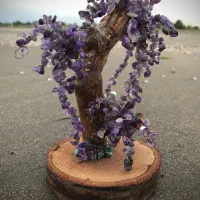 درختچه های بن سای سنگی
