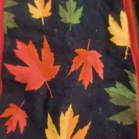 پیدا شده