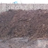 کودگاوی