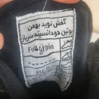 پوتین بهمن درحد سایز ۴۳