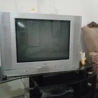 تلویزیون