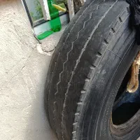 لاستیک رادکس 24