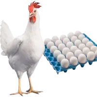 آگهی استخدام