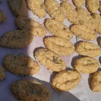 ترخینه