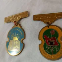 کلکسیون وسرگرمی