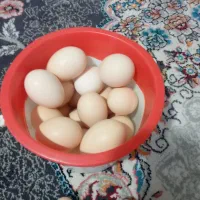 تخم مرغ محلی
