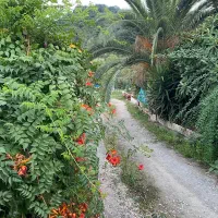 زمین مسکونی دارای خانه ۱۴۰ متری با قیمت عالی