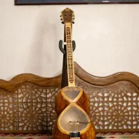 تار الکترونیک،تارالکتریک،تار الکترو آگوستیک