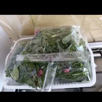 سبزی خوردن