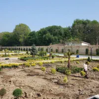 نظافت منزل قالی شوی شرکت وغیره