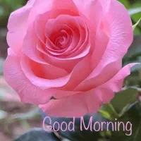 فروش سیم کارت رند ۰۹۱۰