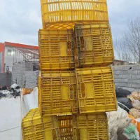 سبدبزرگ زرد مواداصلی