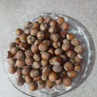 فندق