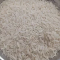 فروش طارم هاشمی مال زمین خودمونه چهارصدوپنجاه
