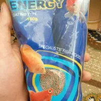 غذای ماهی