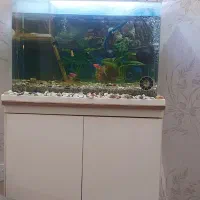 آکواریوم به همراه وسایل