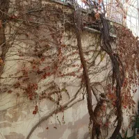 منزل ویلایی