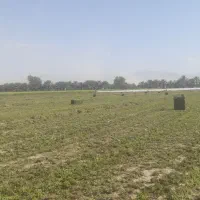 بیده(پرس یونجه)