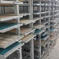 شاسی نبات نیدار