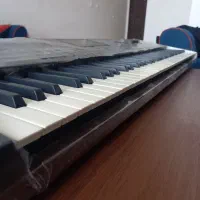کرگ pa4x اورینتال